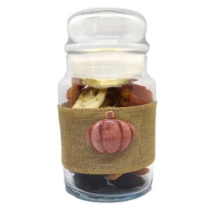 Dried-Fruit-Jar-Pumpkin