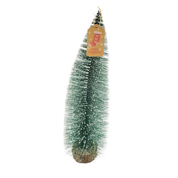 Green Bottlebrush Tree