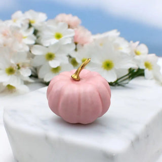 Midi Pink Pumpkin The Holiday Shop