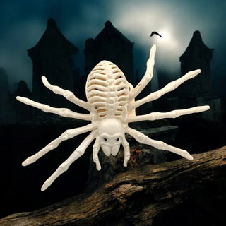 SpiderSkellyTheHolidayShop