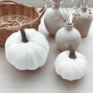 Two white pumpkins on a light surface with a wicker basket and ceramic vases in the background.