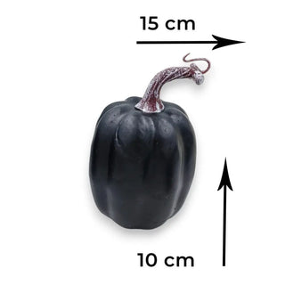Black Pumpkin Combo My Store