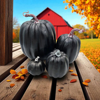 Black Pumpkin Combo My Store