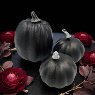 Black Pumpkin Bundle –  Halloween Decor Set The Holiday Shop