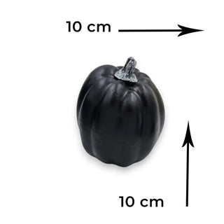 Black Pumpkin Combo My Store