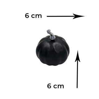 Black Pumpkin Combo My Store