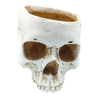 Skull-shaped container with a brown interior on a white background