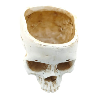 Skull-shaped container with a missing section on a white background