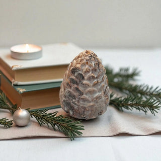 Decorative pine cone with books and greenery on a light surface