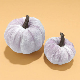 Two lavender pumpkins with black stems on a beige background