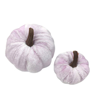 Two purple decorative pumpkins with brown stems on a white background