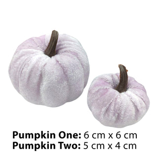 Two lavender pumpkins with brown stems on a white background, labeled with dimensions.