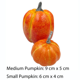 Two pumpkins, one medium and one small, on a white background with size text.