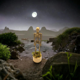 Golden Skully Skeleton
