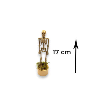 Golden Skully Skeleton