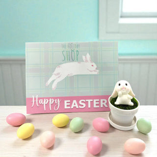 Pocket Sized Hoppity My Store