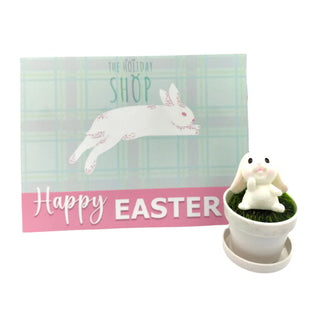 Pocket Sized Hoppity My Store