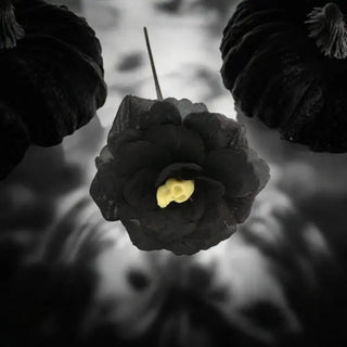 black rose with black stem and yellow center