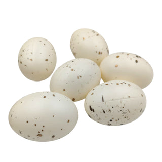 Group of speckled eggs on a white background