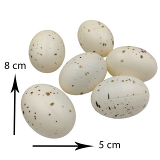 Set of speckled eggs with measurements on a white background