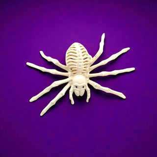 White spider toy on a purple background