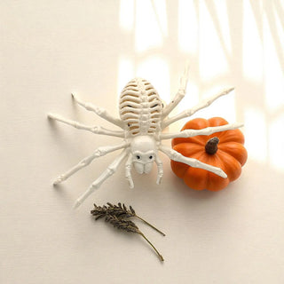 Spider Skelly My Store