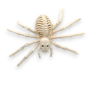Spider Skelly My Store
