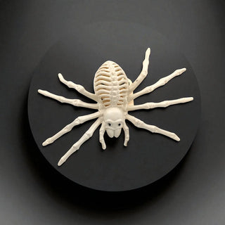 Spider Skelly My Store