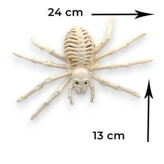 SpiderSkelly
