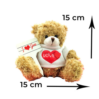 Plush teddy bear with a heart-shaped 'LOVE' sign and 'I ❤️ You' tag, size indicated as 15 cm.