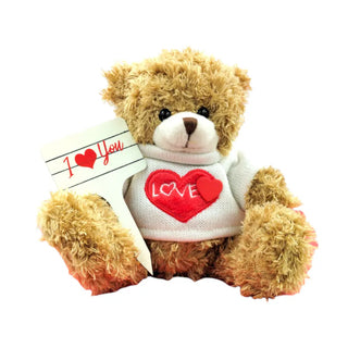 Teddy bear wearing a sweater with a heart design and holding a 'I Love You' sign on a white background
