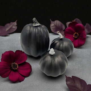 Black Pumpkin Bundle –  Halloween Decor Set The Holiday Shop