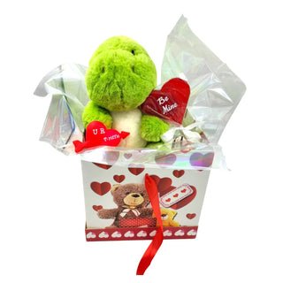 Green plush frog toy with heart-shaped 'Be Mine' and 'UR T-ittle' tags in a decorative box with heart designs.