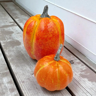 Two small orange pumpkins with green stems on a wooden surface.