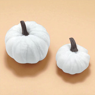 Two white pumpkins with black stems on a beige background