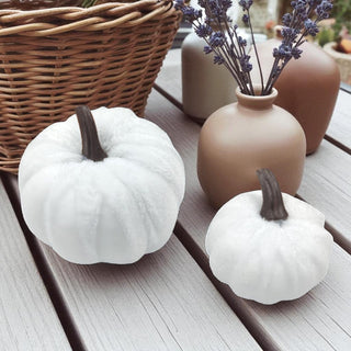 Two white pumpkins on a wooden surface with a wicker basket and ceramic vase in the background.